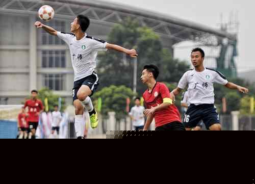 奥古斯托：意甲没有容易的比赛；齐沃会给球员自由发挥的空间（奥古斯托称意甲无轻松之战，齐沃将为球员提供自由发挥空间）